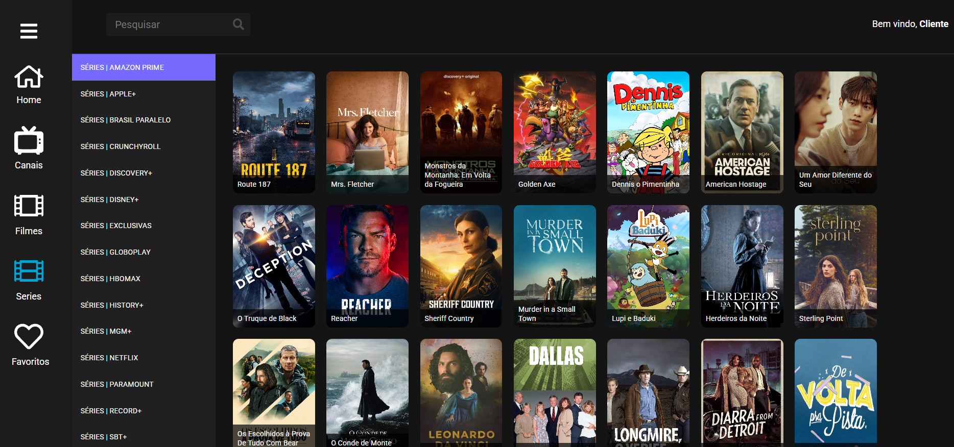 Captura das séries organizadas na plataforma